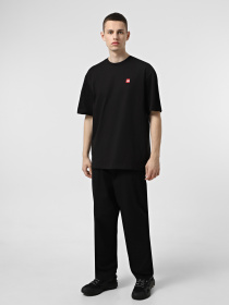 Футболка The North Face Axys модель NF0A8C1RJK31 Фото