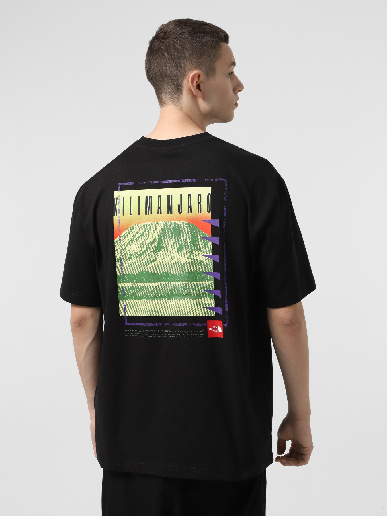 Футболка The North Face Axys модель NF0A8C1RJK31 Фото