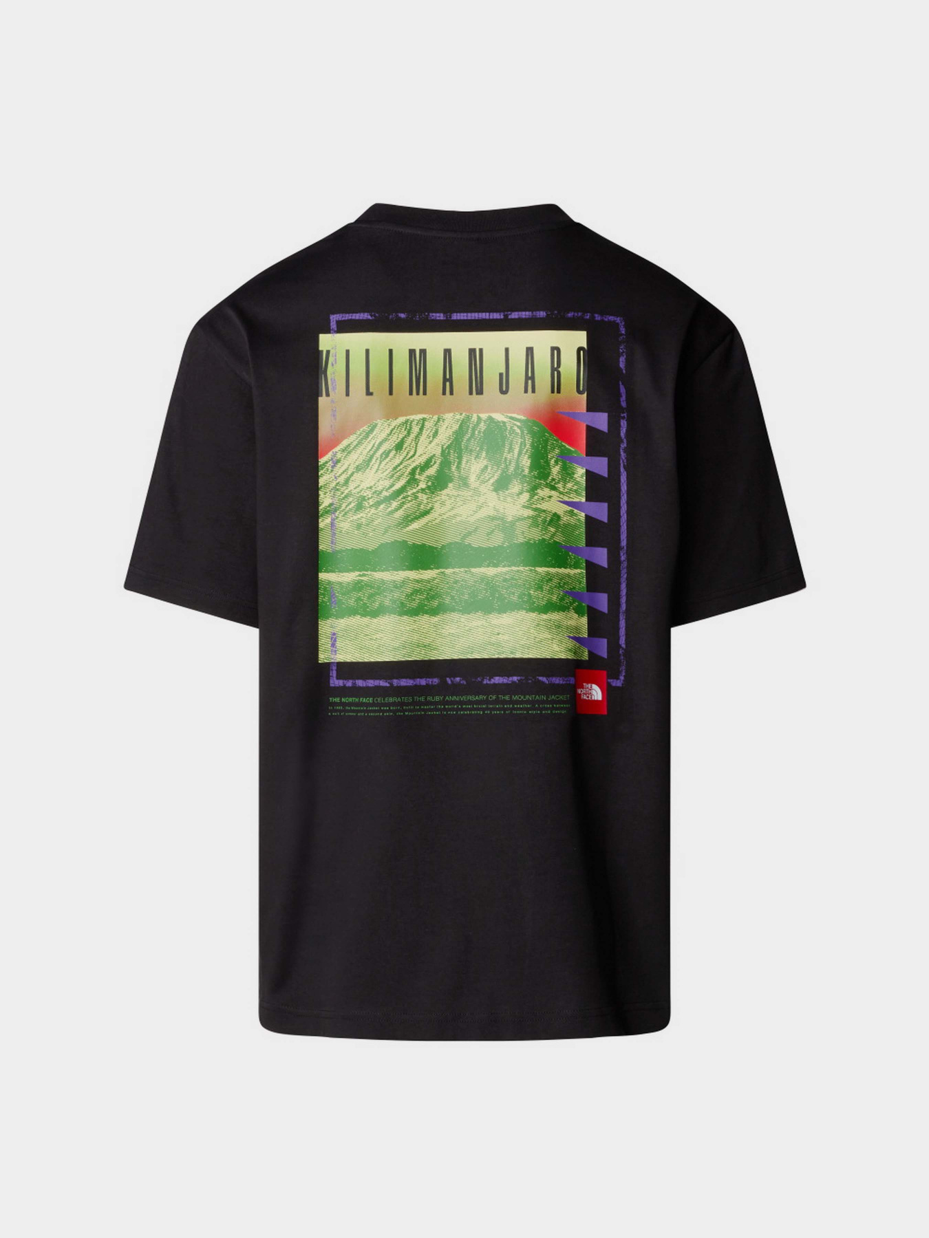 Футболка The North Face Axys модель NF0A8C1RJK31 Фото