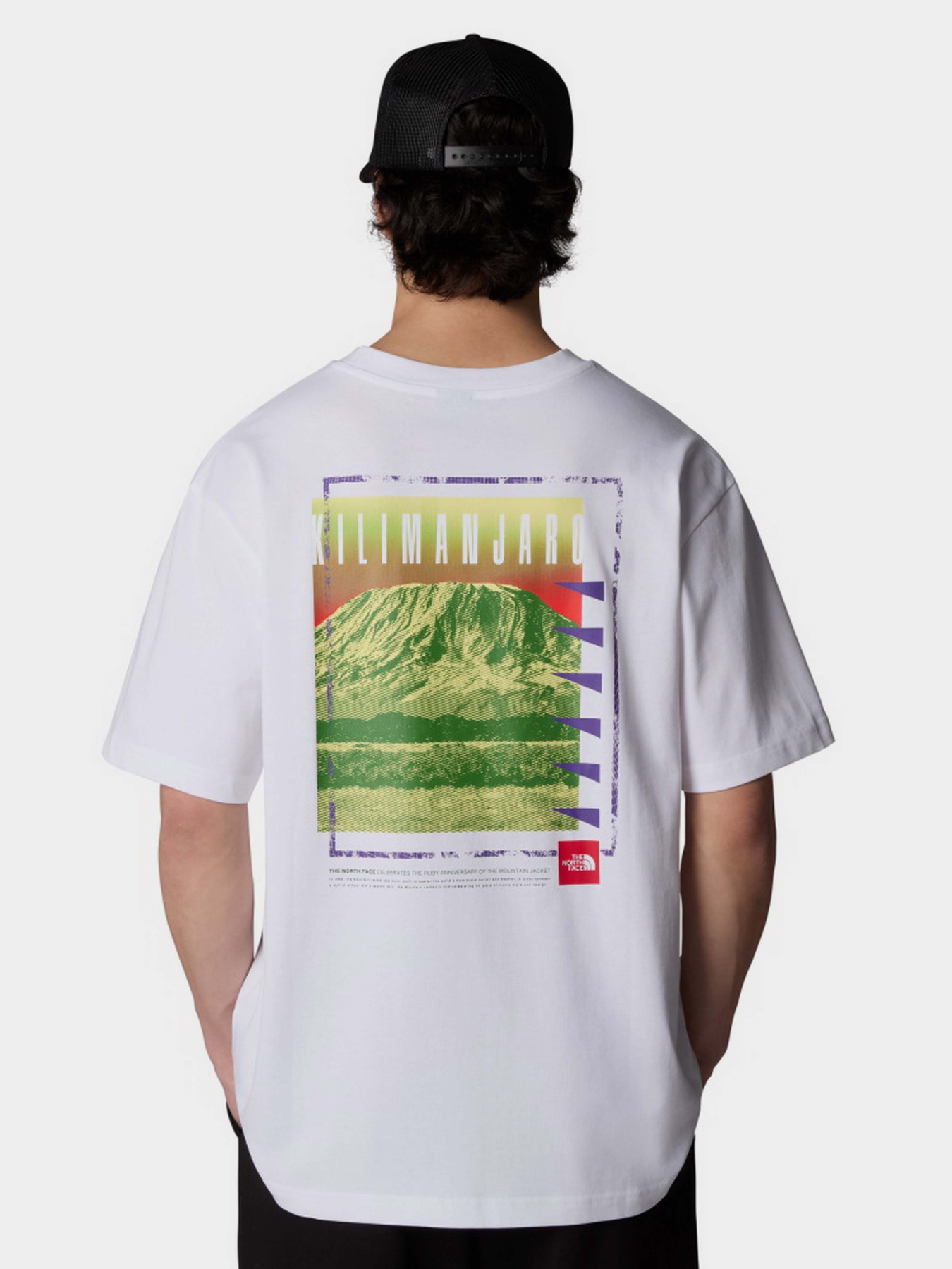 Футболка The North Face Axys модель NF0A8C1RFN41 Фото