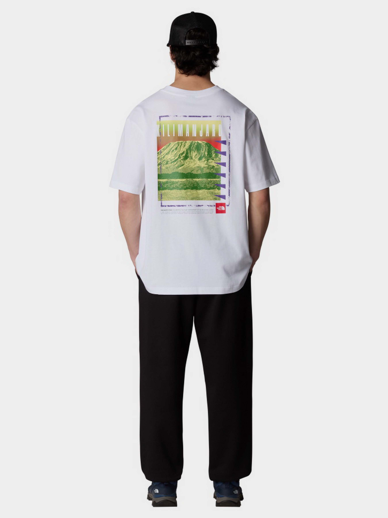 Футболка The North Face Axys модель NF0A8C1RFN41 Фото