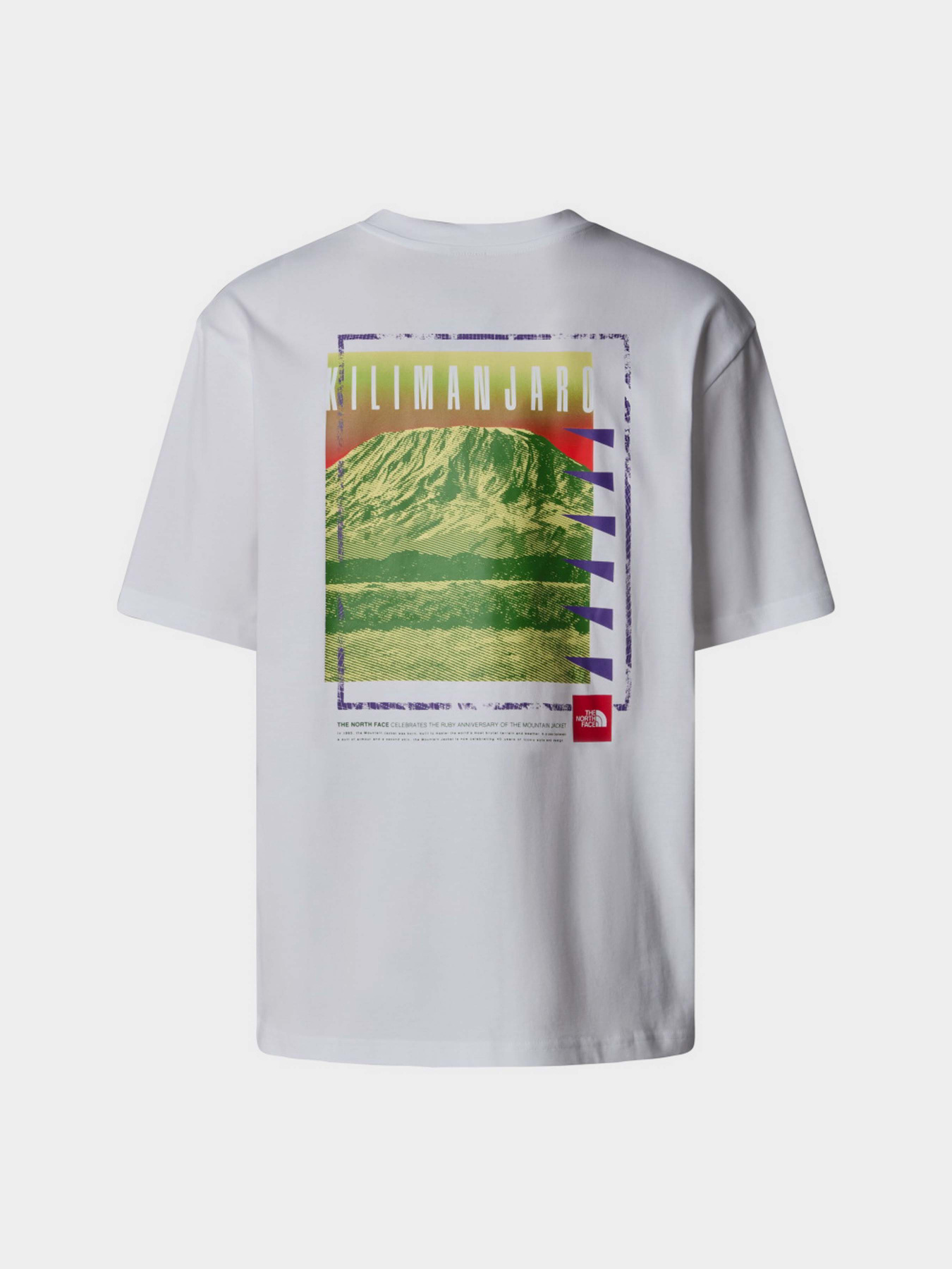 Футболка The North Face Axys модель NF0A8C1RFN41 Фото