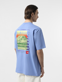 Футболка The North Face Axys модель NF0A8C1R0YI1 Фото