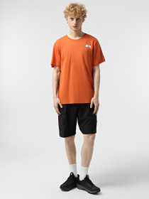 Футболка The North Face Outdoor Graphic модель NF0A8C1Z6IG1 Фото