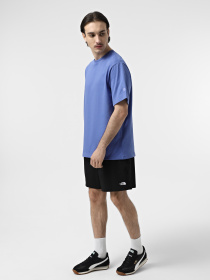 Футболка The North Face RMST Logo модель NF0A8C356IF1 Фото