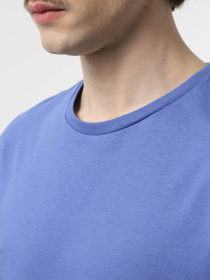 Футболка The North Face RMST Logo модель NF0A8C356IF1 Фото