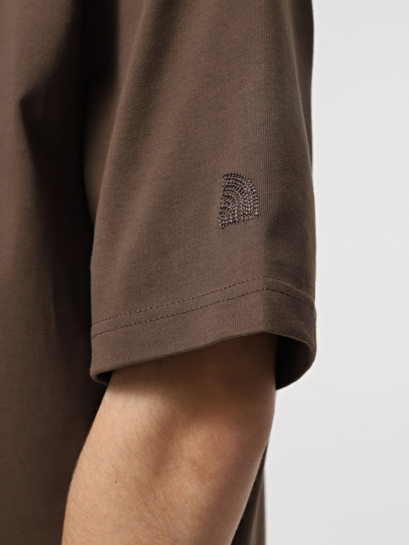 Футболка The North Face RMST Logo модель NF0A8C351OI1 Фото