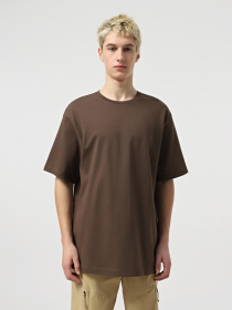 Футболка The North Face RMST Logo модель NF0A8C351OI1 Фото