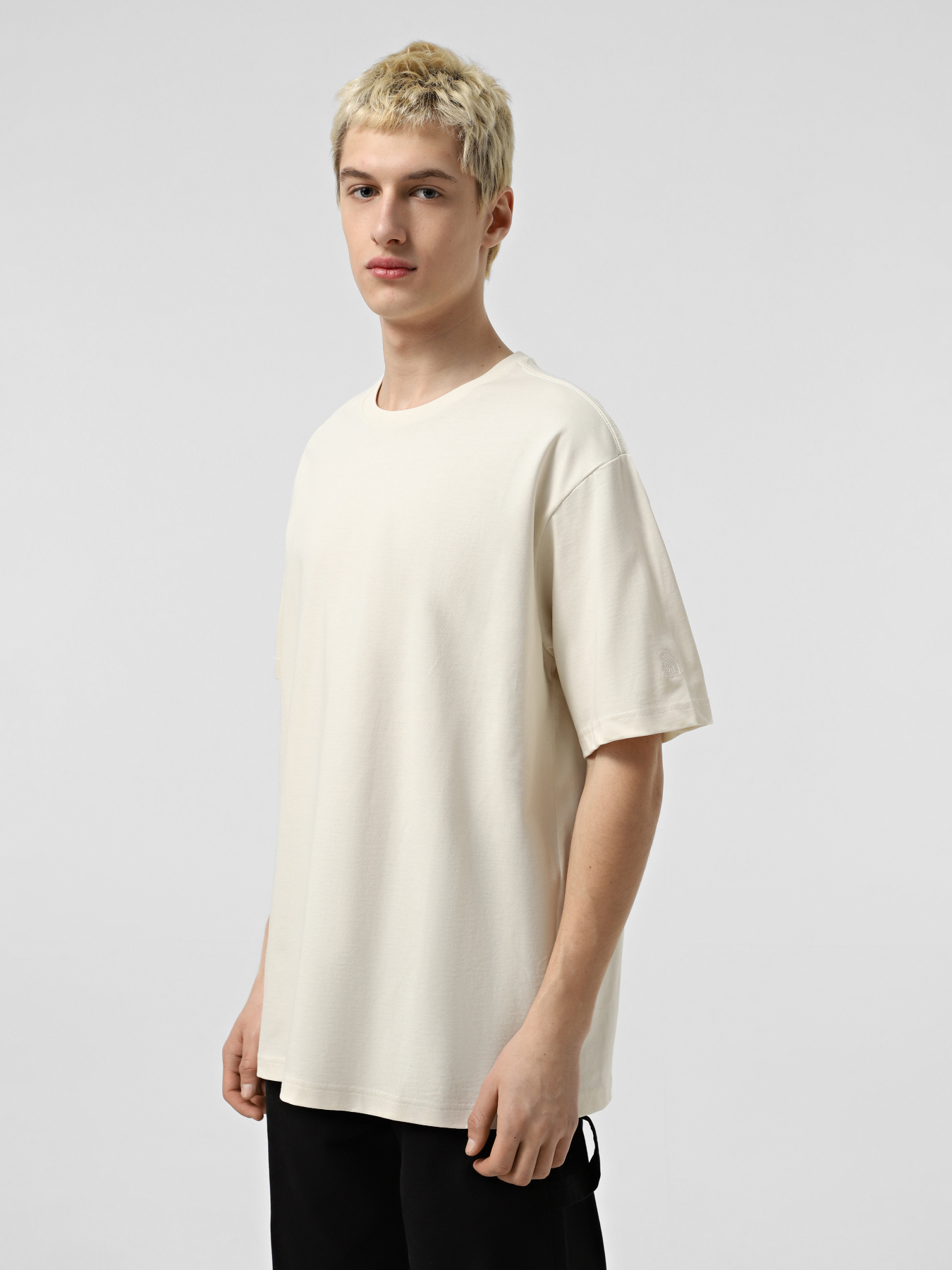 Футболка The North Face RMST Logo модель NF0A8C35QLI1 Фото