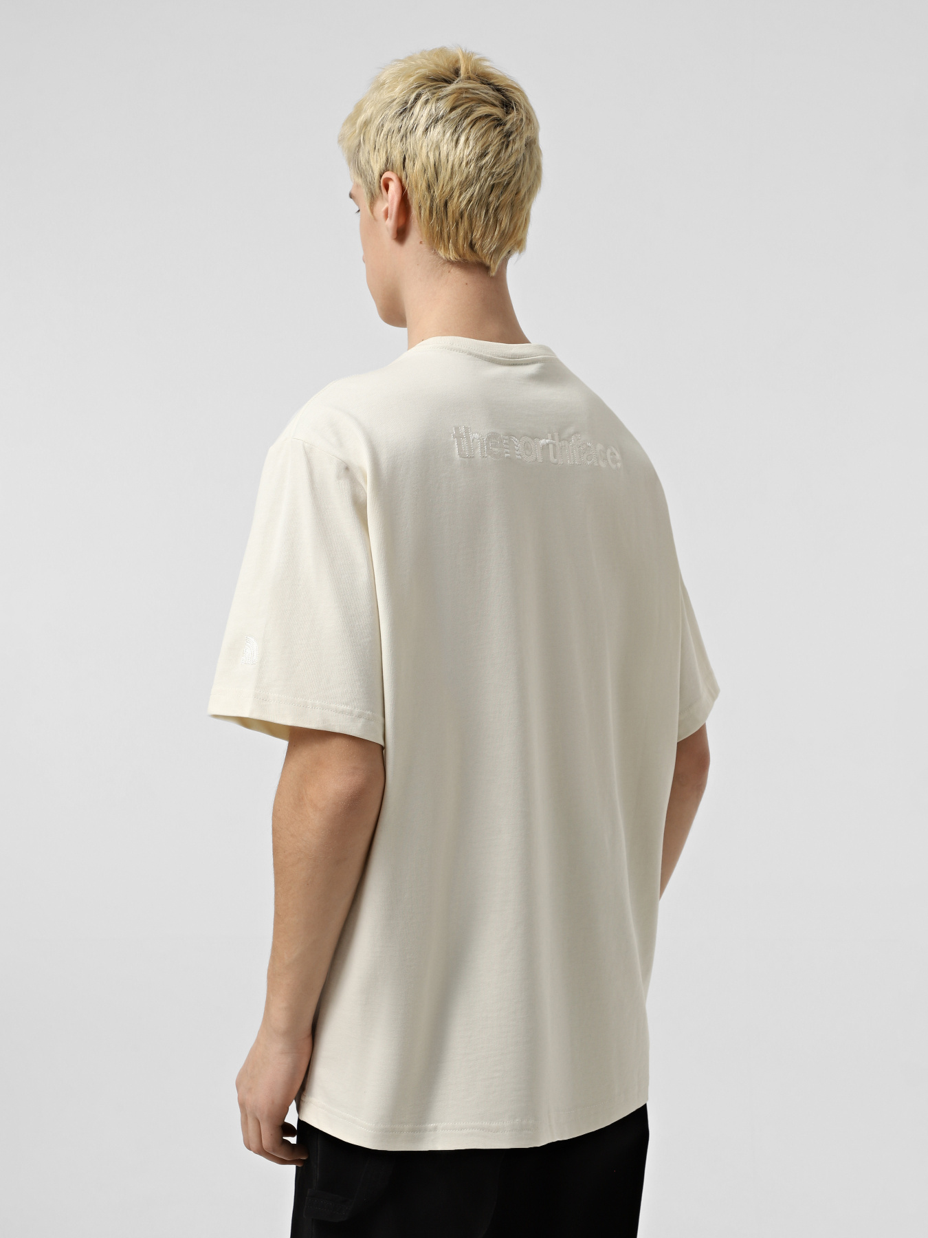 Футболка The North Face RMST Logo модель NF0A8C35QLI1 Фото