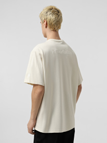 Футболка The North Face RMST Logo модель NF0A8C35QLI1 Фото