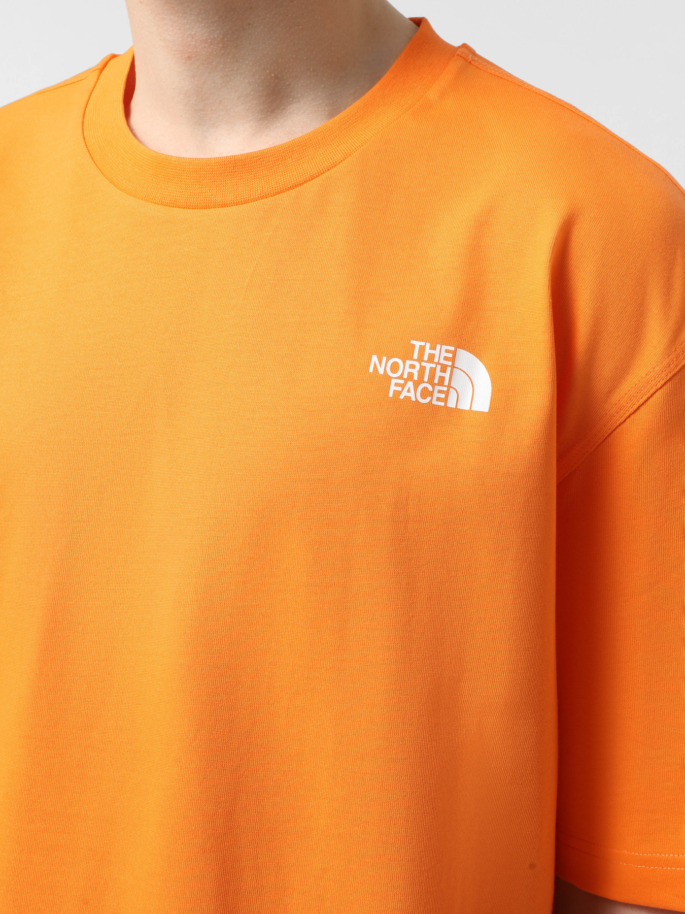 Футболка The North Face NSE модель NF0A8C3T6HI1 Фото