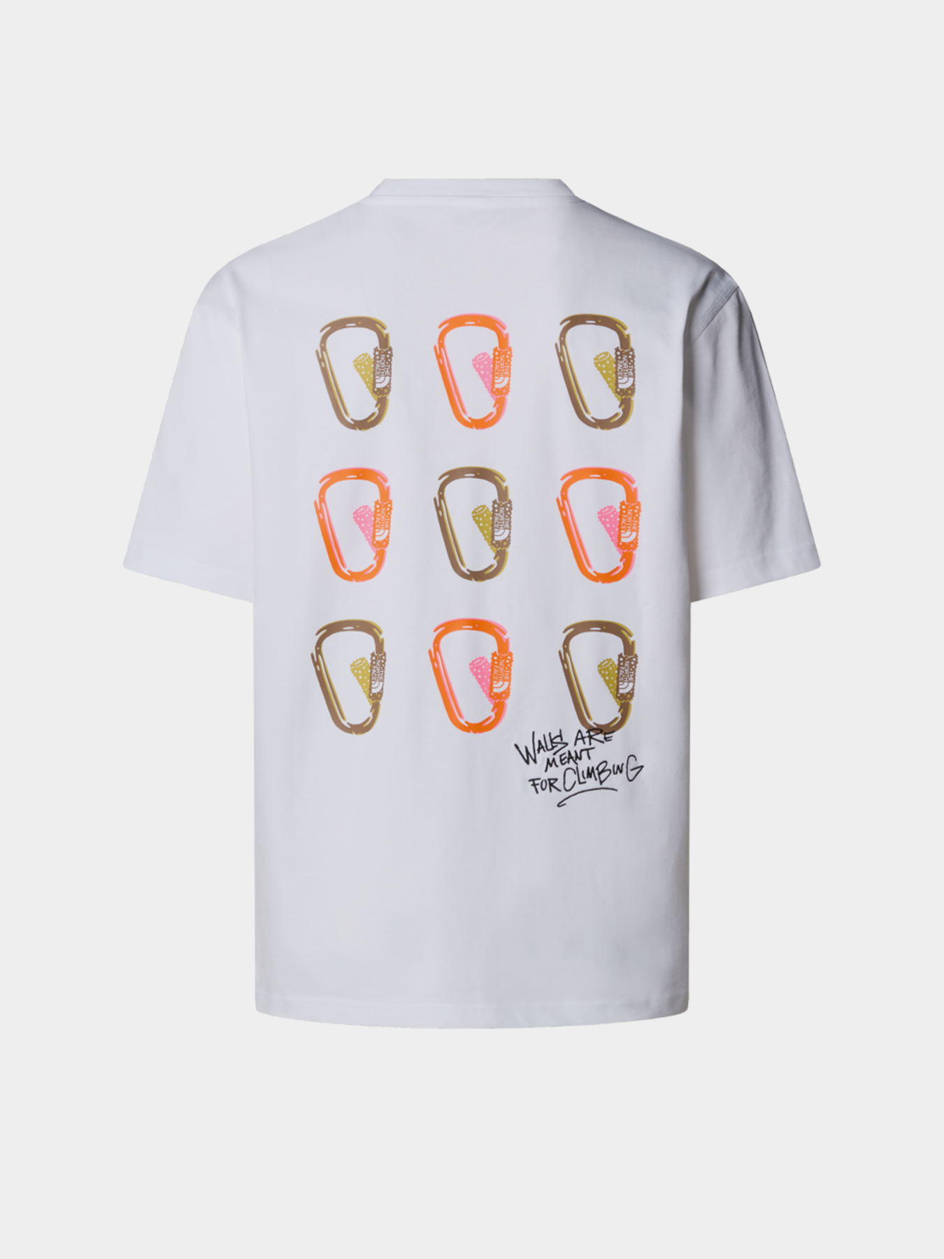 Футболка The North Face NSE модель NF0A8C3TFN41 Фото