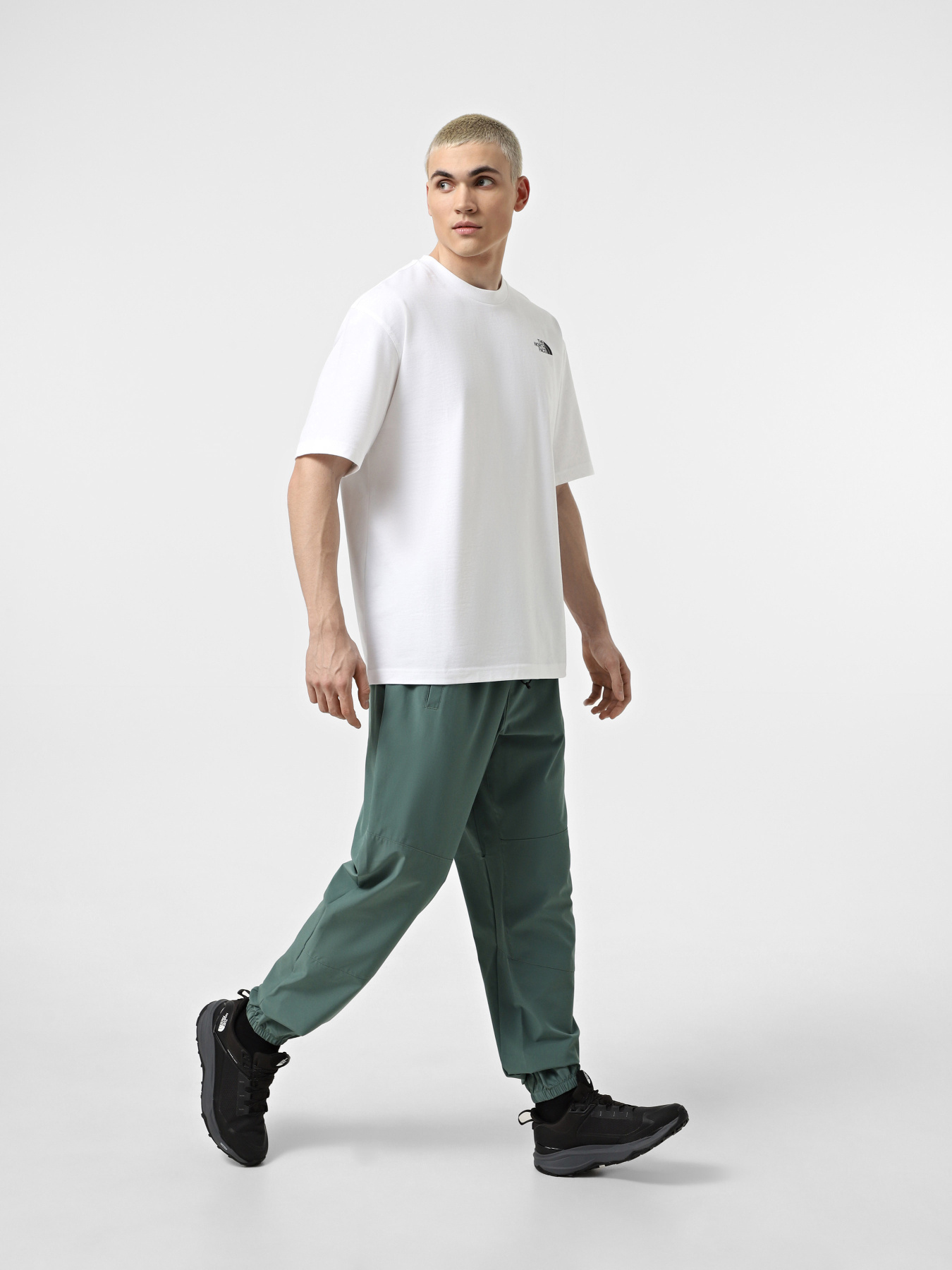 Футболка The North Face NSE модель NF0A8C3TFN41 Фото