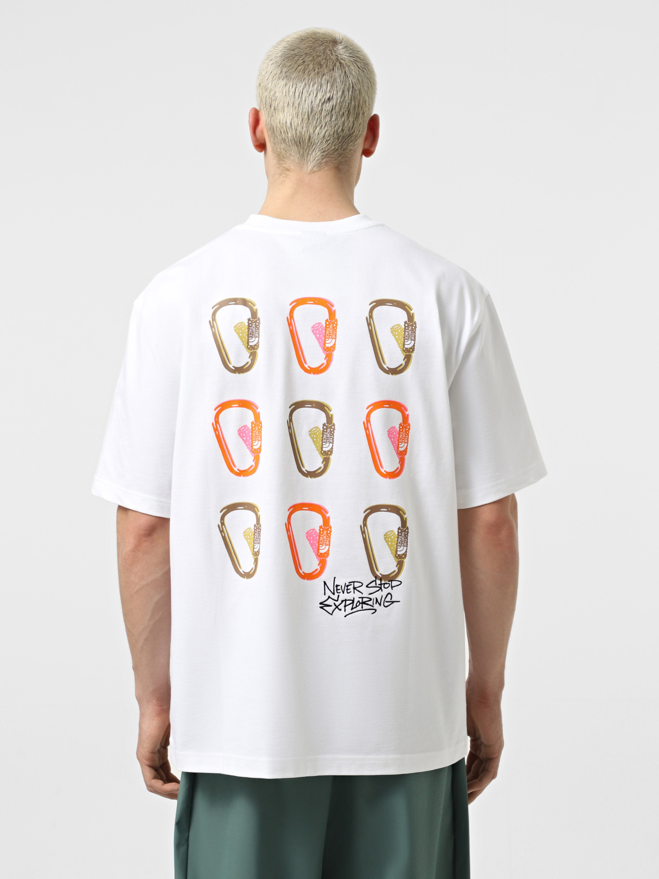 Футболка The North Face NSE модель NF0A8C3TFN41 Фото