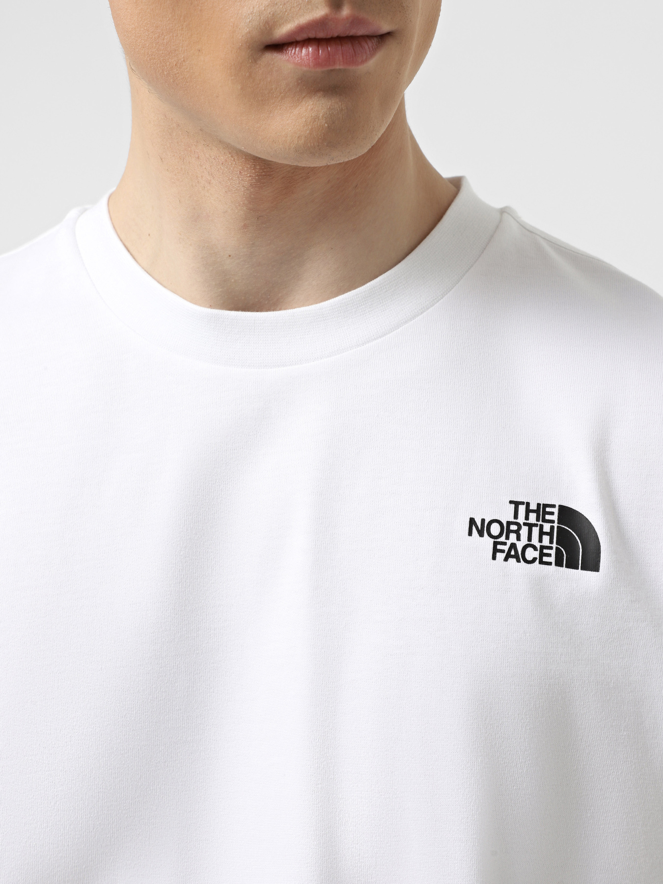 Футболка The North Face NSE модель NF0A8C3TFN41 Фото