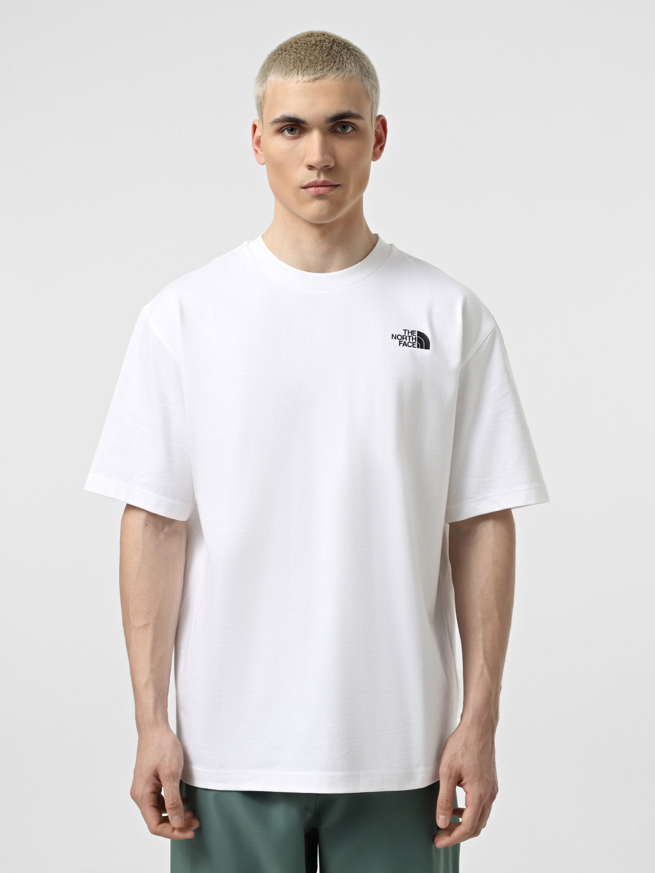 Футболка The North Face NSE модель NF0A8C3TFN41 Фото