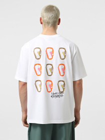 Футболка The North Face NSE модель NF0A8C3TFN41 Фото