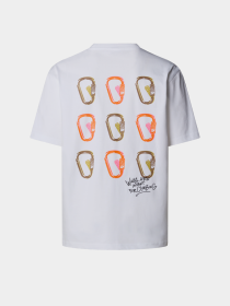 Футболка The North Face NSE модель NF0A8C3TFN41 Фото