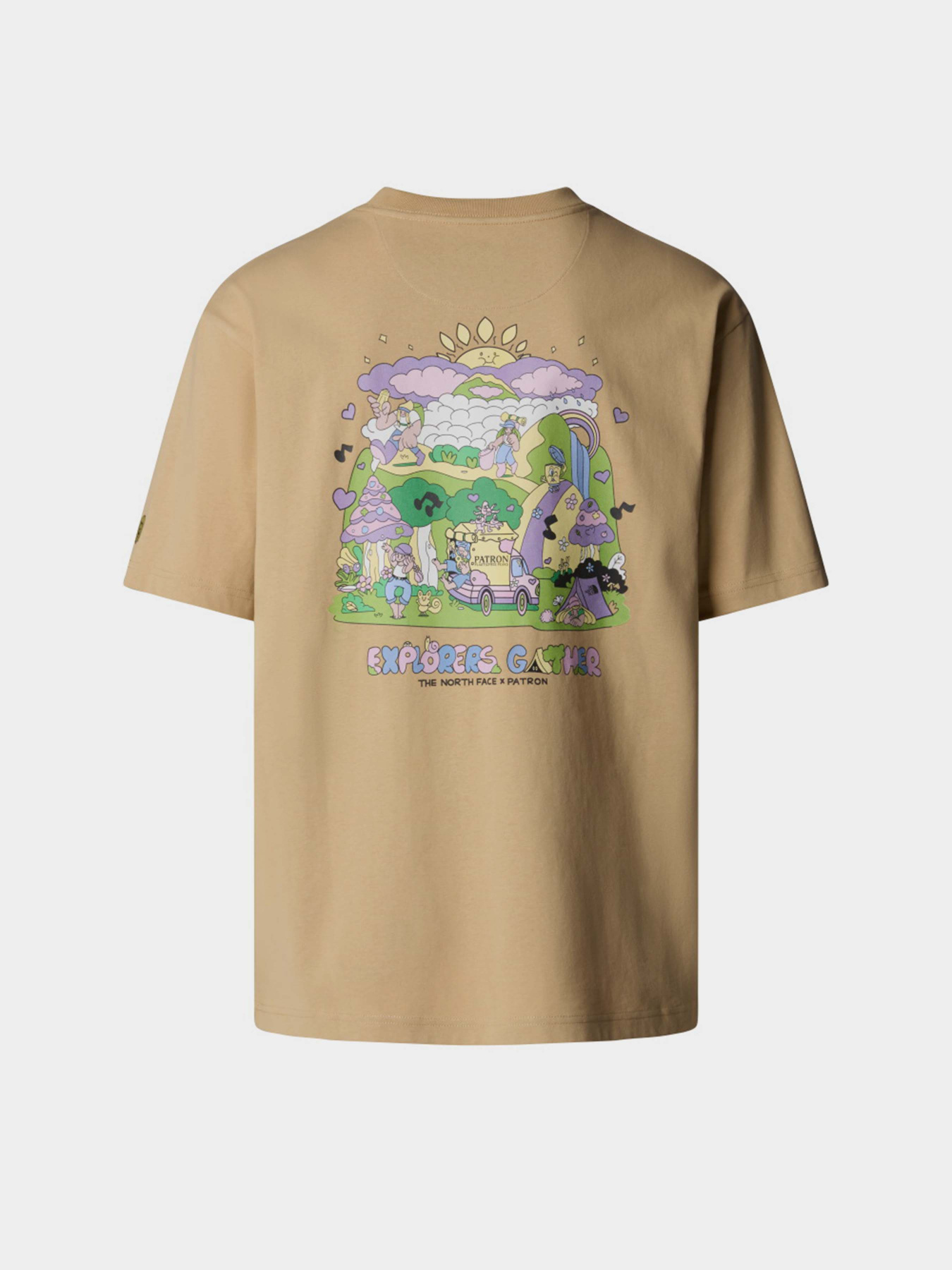 Футболка The North Face Mountain Cleanup модель NF0A8C4DLK51 Фото