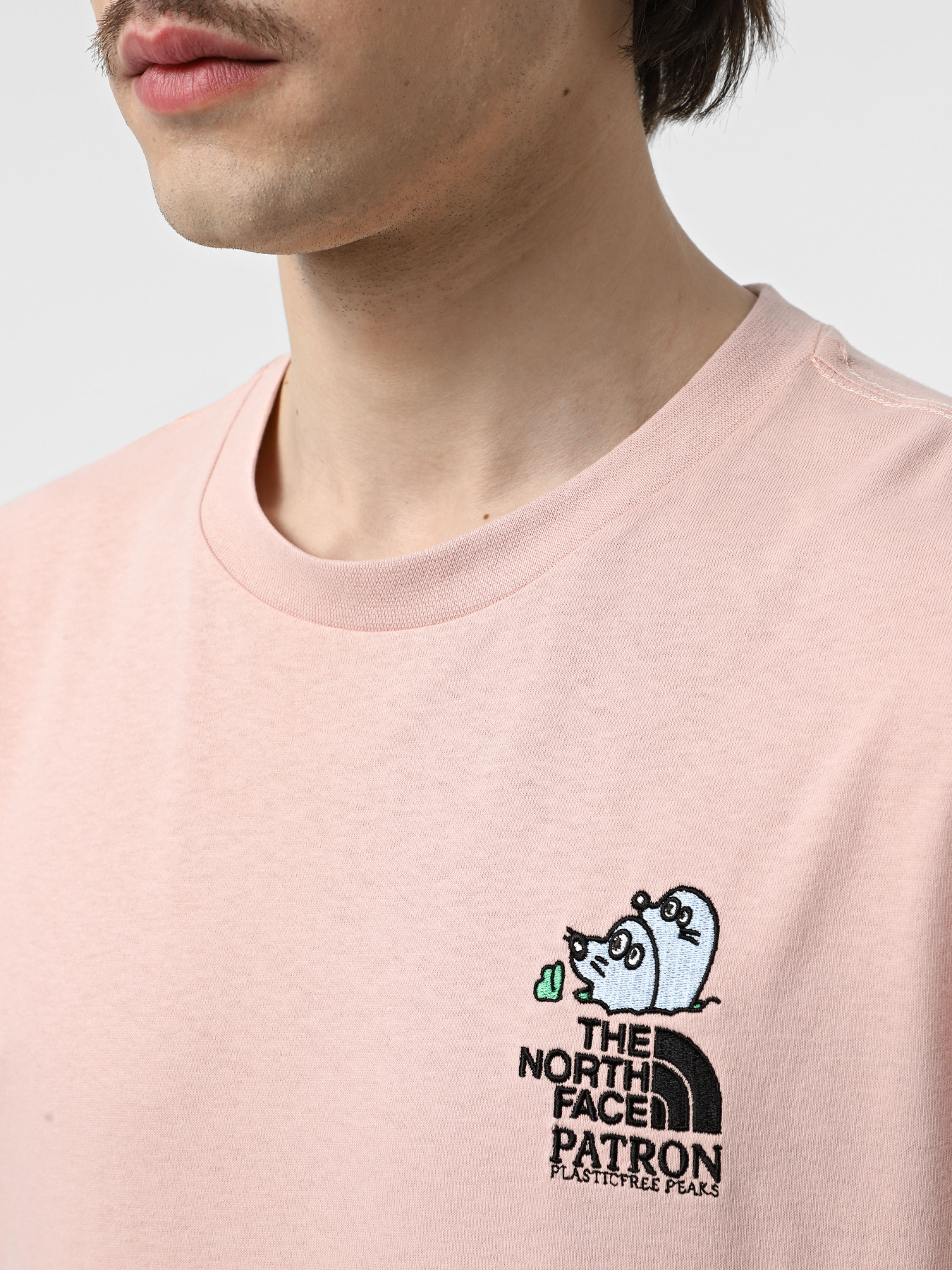 Футболка The North Face Mountain Cleanup модель NF0A8C4DLK61 Фото