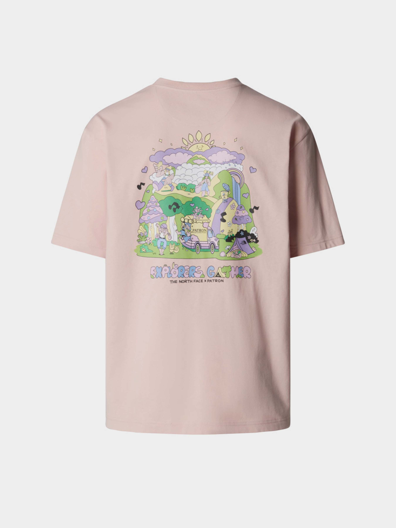 Футболка The North Face Mountain Cleanup модель NF0A8C4DLK61 Фото