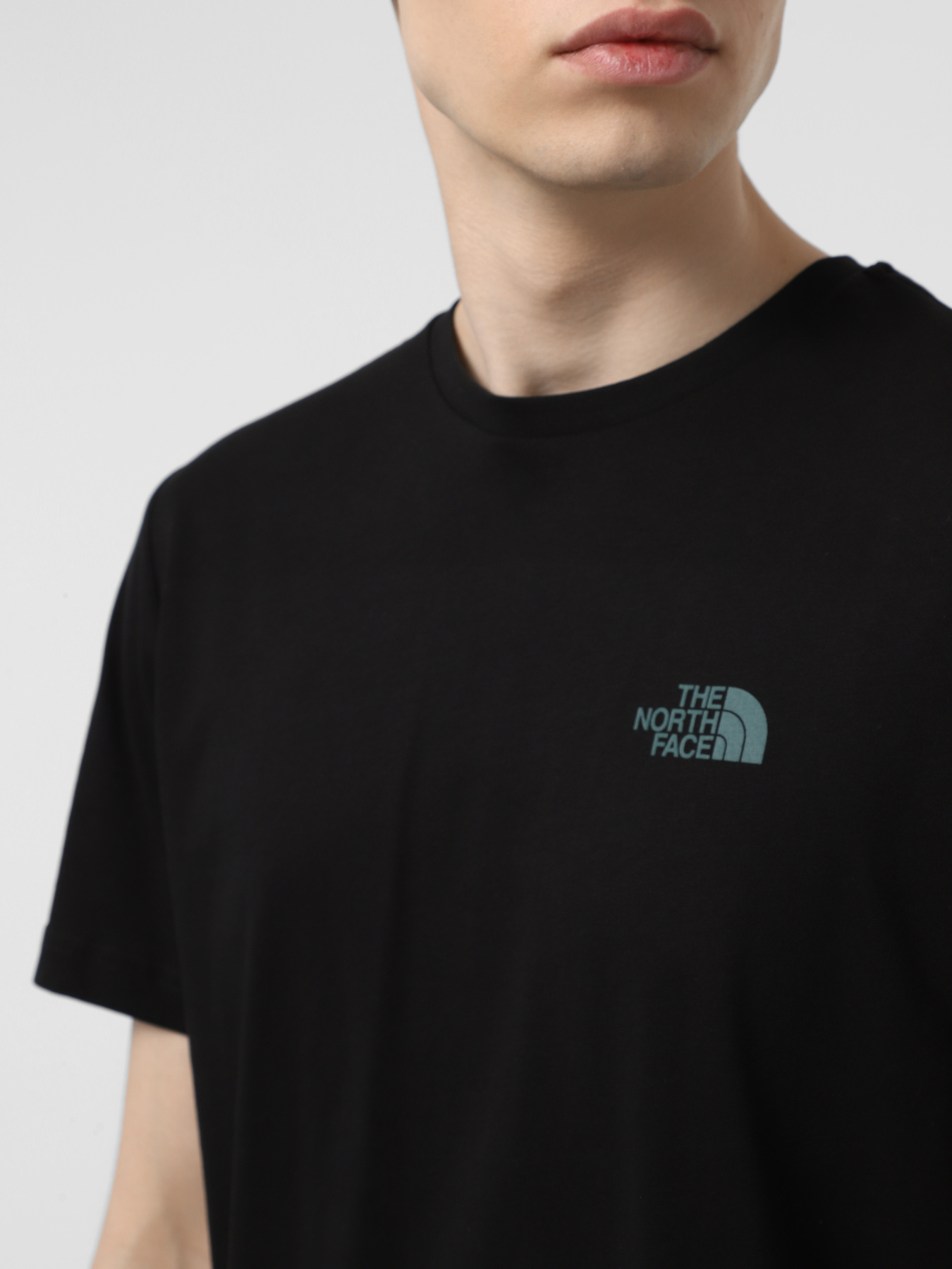 Футболка The North Face NSE Box модель NF0A8C4U9431 Фото