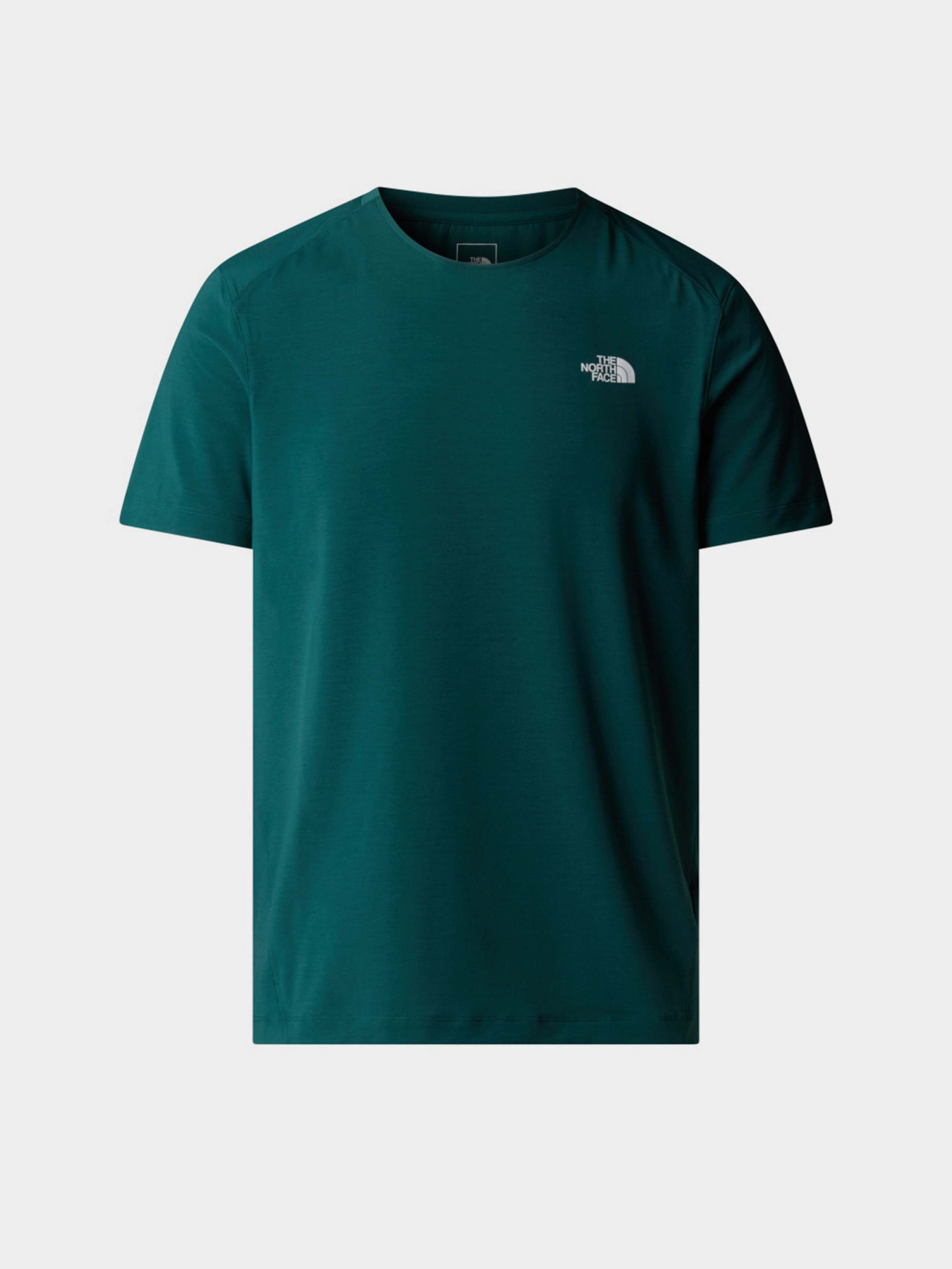 Футболка The North Face Lightning Alpine модель NF0A87H76GI1 Фото