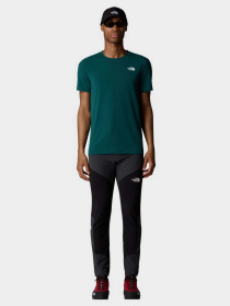 Футболка The North Face Lightning Alpine модель NF0A87H76GI1 Фото