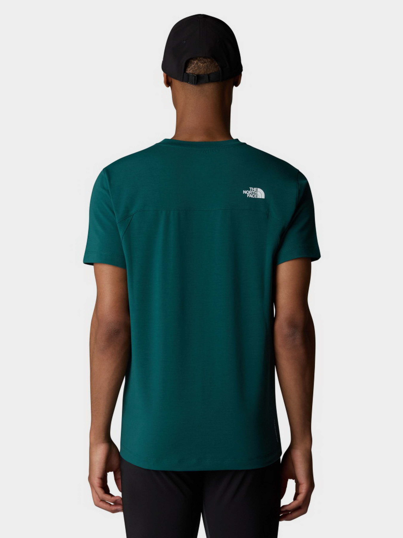 Футболка The North Face Lightning Alpine модель NF0A87H76GI1 Фото