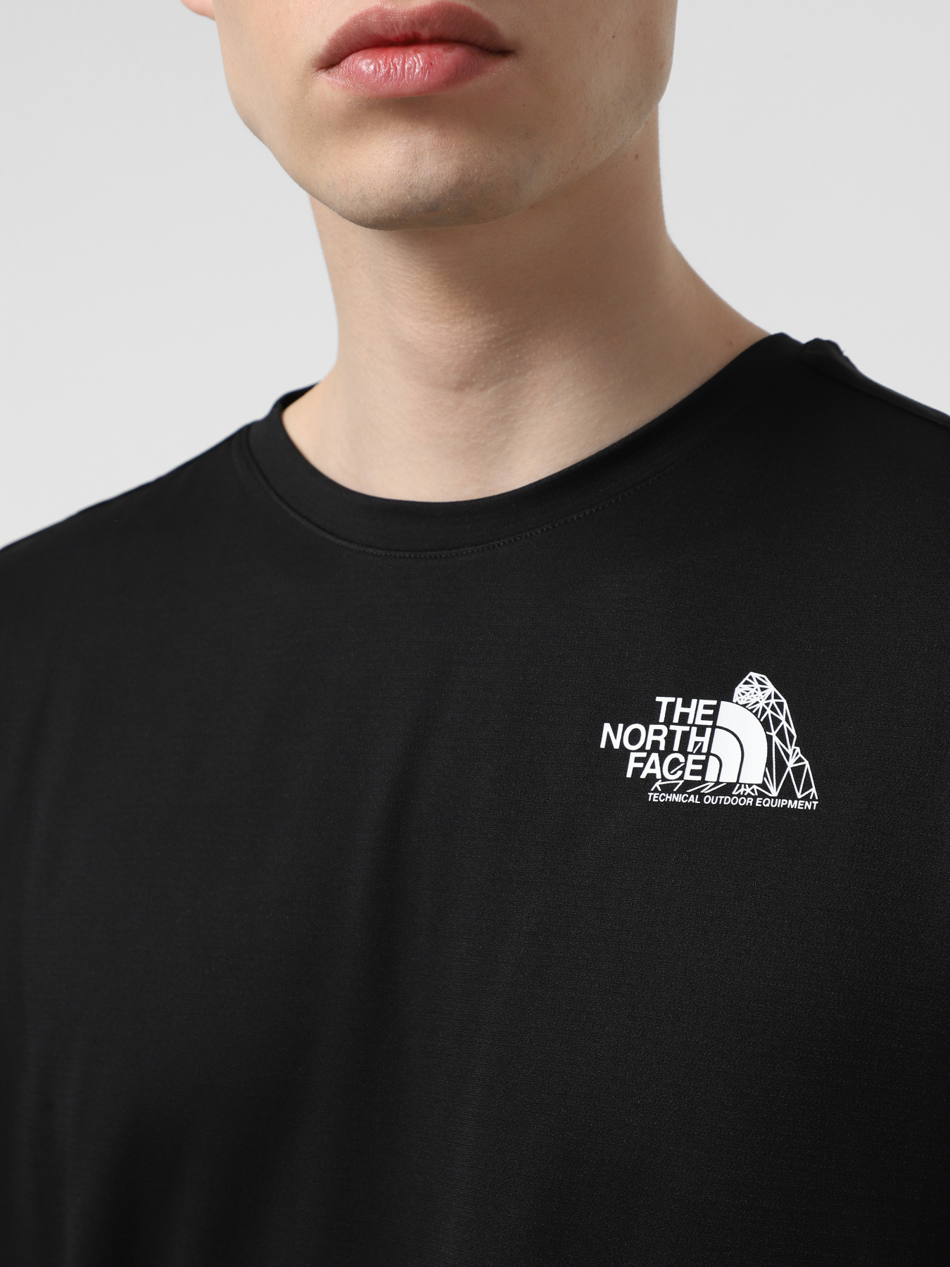 Футболка The North Face 24/7 Graphic модель NF0A895JJK31 Фото