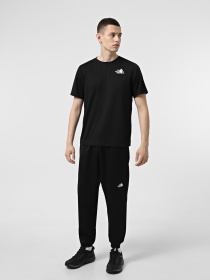 Футболка The North Face 24/7 Graphic модель NF0A895JJK31 Фото