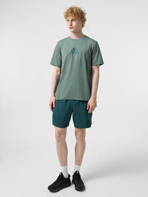 Футболка The North Face Mountain Athletics 24/7 модель NF0A8BH6HLK1 Фото