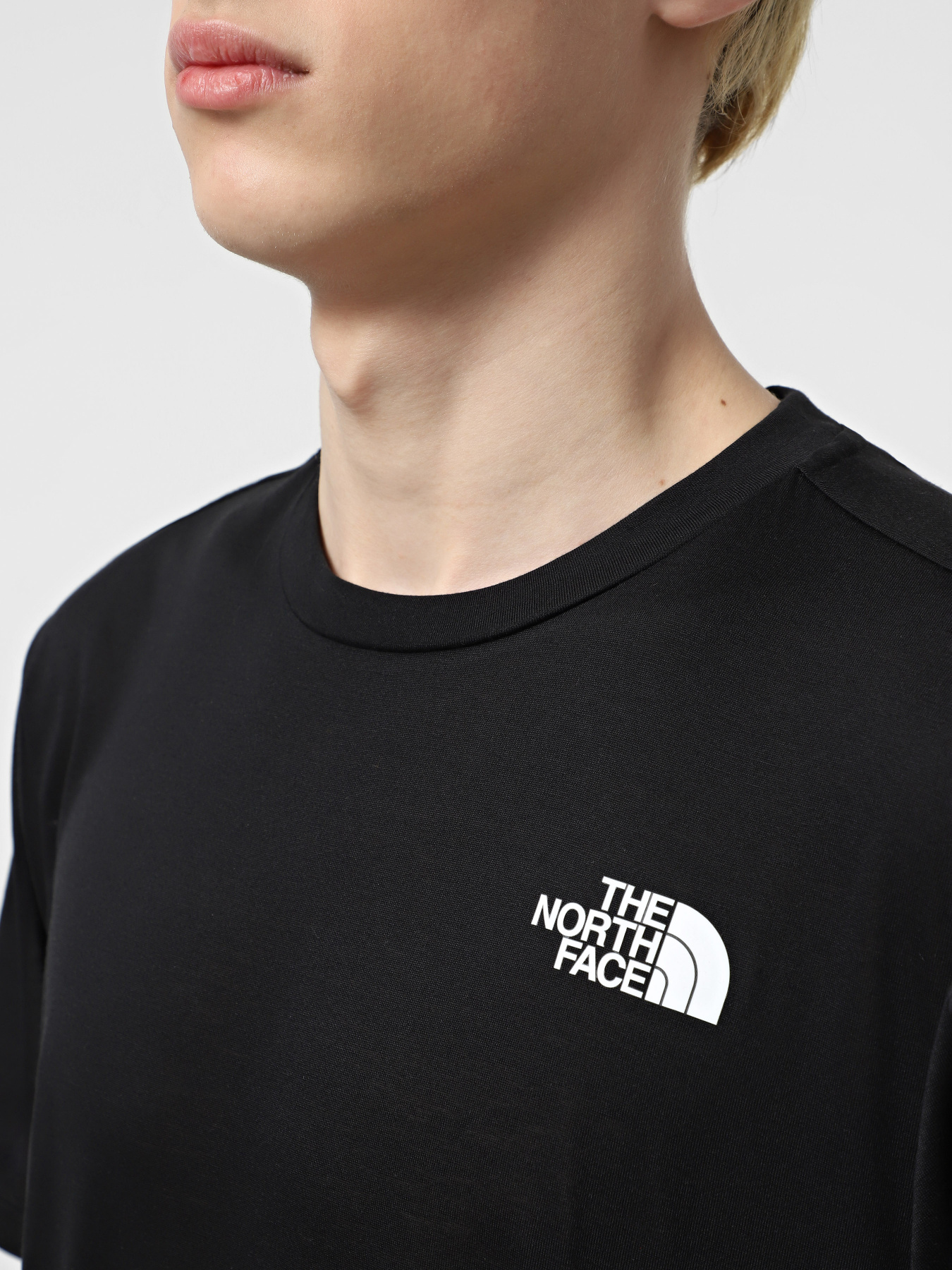 Футболка The North Face Foundation Mountains Faces модель NF0A8BQWJK31 Фото