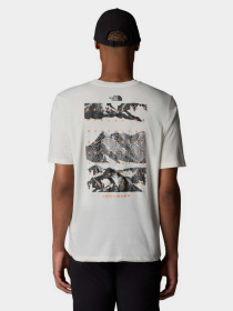 Футболка The North Face Foundation Mountains Faces модель NF0A8BQWQLI1 Фото