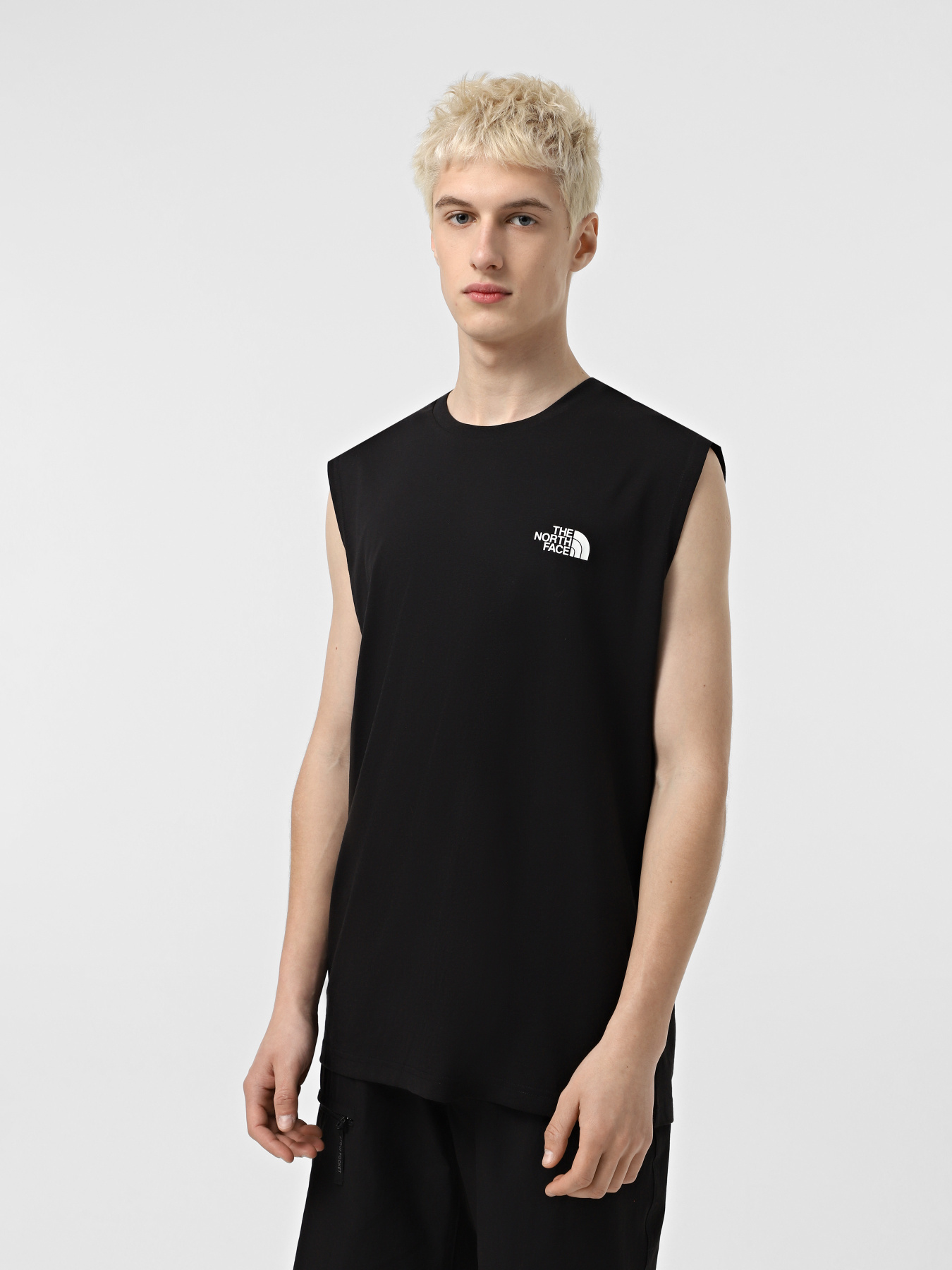 Майка The North Face Simple Dome модель NF0A87R3JK31 Фото