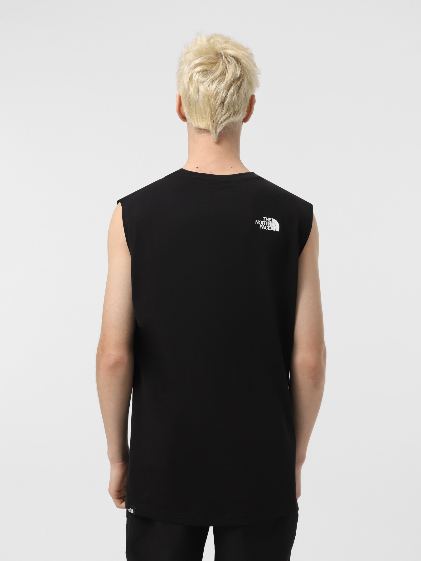 Майка The North Face Simple Dome модель NF0A87R3JK31 Фото