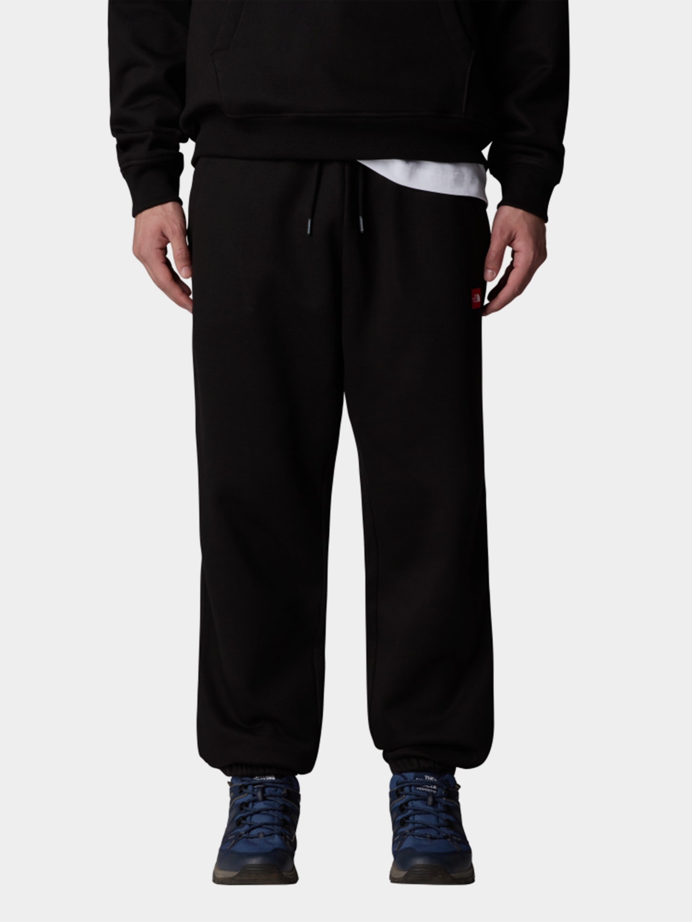 Штаны спортивные The North Face Axys Relaxed модель NF0A8C1UJK31 Фото