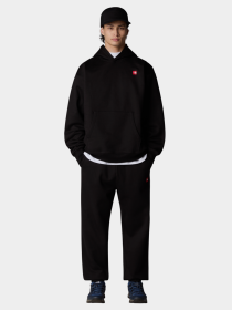 Штаны спортивные The North Face Axys Relaxed модель NF0A8C1UJK31 Фото