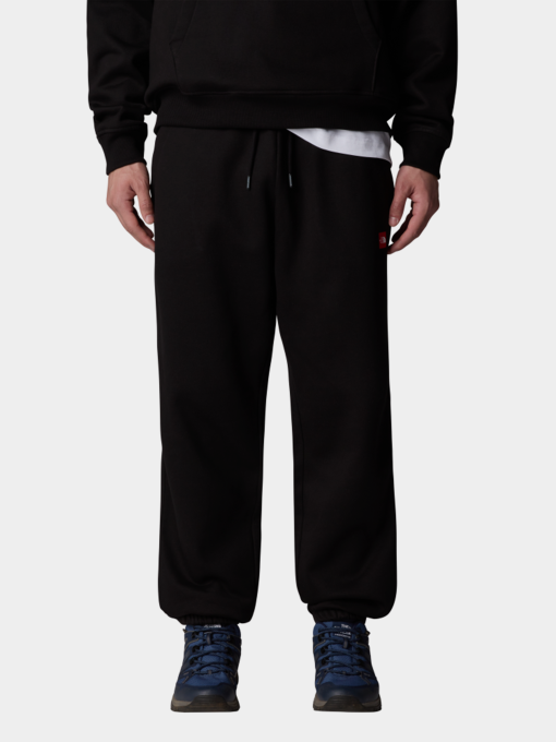 Спортивні штани The North Face Axys Relaxed модель NF0A8C1UJK31 Фото