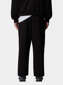 Штаны спортивные The North Face Axys Relaxed модель NF0A8C1UJK31 Фото