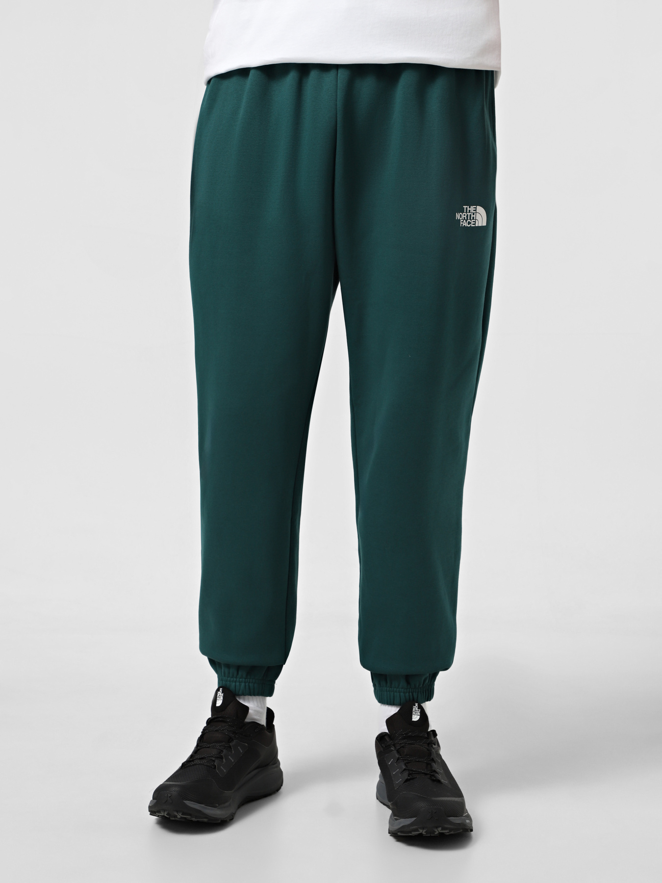 Штаны спортивные The North Face Simple Dome модель NF0A8C1W6GI1 Фото