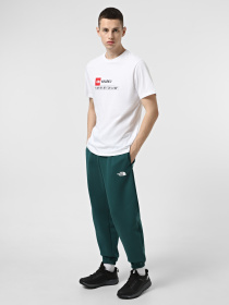 Штаны спортивные The North Face Simple Dome модель NF0A8C1W6GI1 Фото