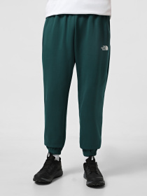 Штаны спортивные The North Face Simple Dome модель NF0A8C1W6GI1 Фото