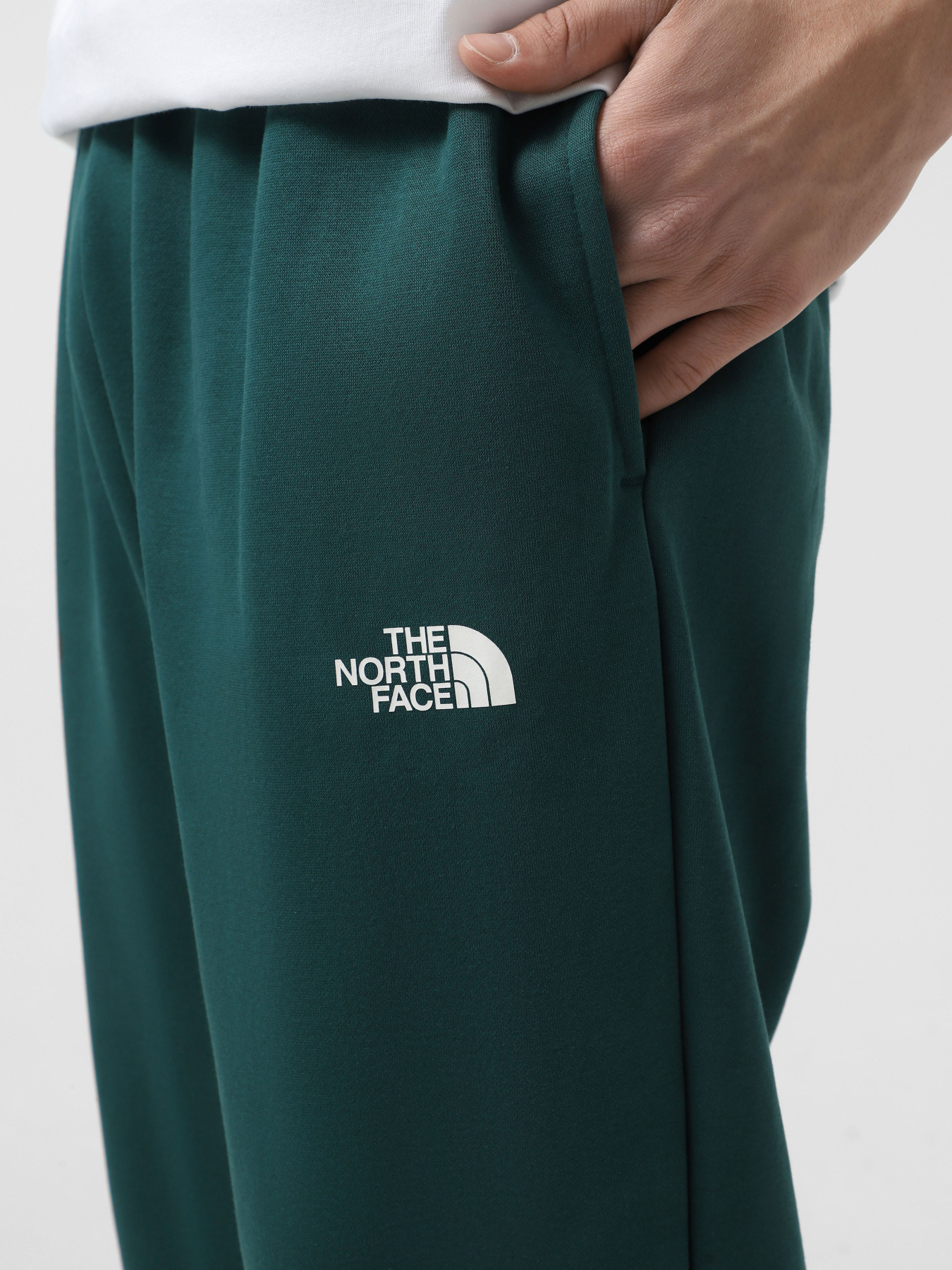 Джогери The North Face Simple Dome модель NF0A8C1W6GI1 Фото