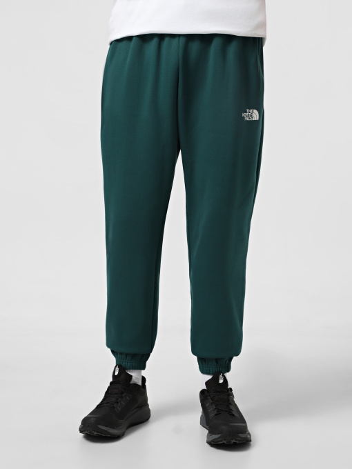 Джогери The North Face Simple Dome модель NF0A8C1W6GI1 Фото