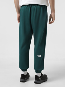 Джогери The North Face Simple Dome модель NF0A8C1W6GI1 Фото