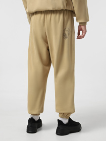 Спортивні штани The North Face Mountain Cleanup Relaxed модель NF0A8C2WLK51 Фото