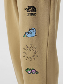 Спортивні штани The North Face Mountain Cleanup Relaxed модель NF0A8C2WLK51 Фото