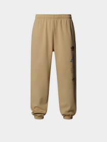 Спортивні штани The North Face Mountain Cleanup Relaxed модель NF0A8C2WLK51 Фото